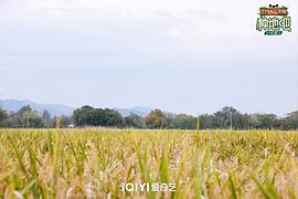 种地吧3 图8