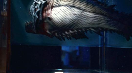 美国电影食人鱼3D影评
