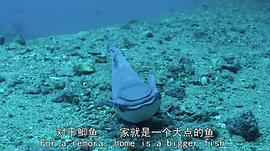 生命故事 图6