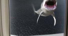 噬人鲨vs巨齿鲨视频 图6