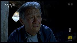 暖春 圖6