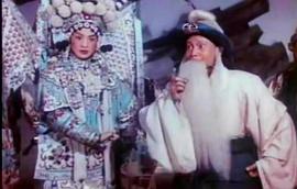 楊門女將演員表 圖8