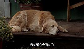 看狗在说话 电影中文配音 图10