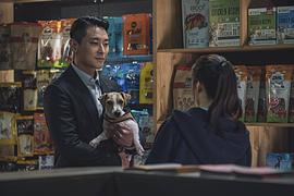 紳士 圖8