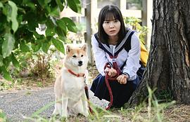 今日份的散步 圖6