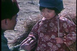 布谷催春 圖6
