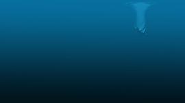 深海狂鲨 图8