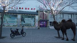 老獸 圖8