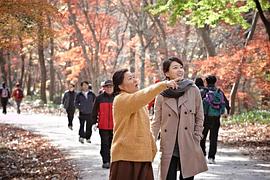 娘家母親 圖1