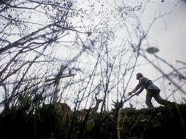 被遺忘的祖先的陰影 圖3