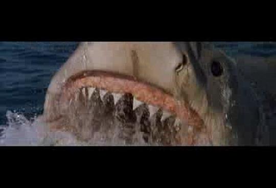 大白鲨在线观看完整版电影