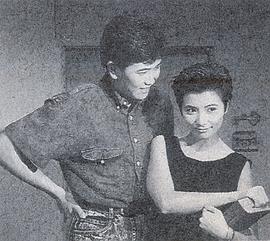 含羞草 圖7