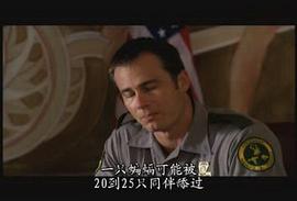 吸血蝙蝠 圖1