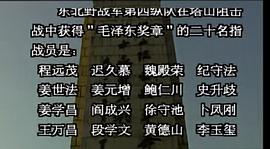 豫东之战电视剧完整版在线观看 图3