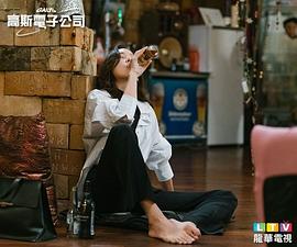 高斯電子公司 圖6