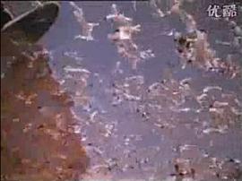 元帥之死 圖9