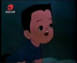 小白鴿 圖1