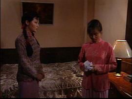 蝴蝶蘭 圖3