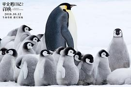 企鹅日记电影 图6
