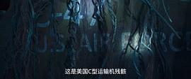 云南蟲谷 圖10
