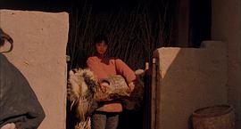 雙旗鎮(zhèn)刀客下載高清完整版 圖2