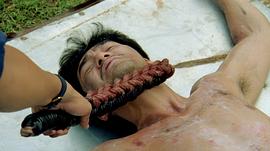 破繭急先鋒 圖7