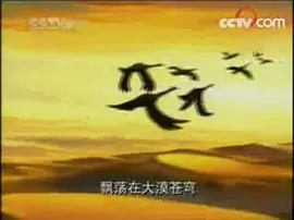 大英雄狄青 圖2