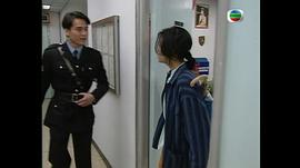 九彩霸王花 圖6
