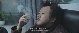 老狗 图1