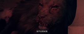 狂暴凶狮电影免费西瓜观看 图2