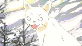 冬天里 圖5