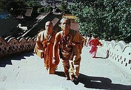曼荼羅 圖6