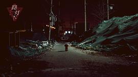 路燈下 圖6