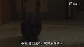 金宵大廈 圖6