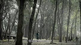 决胜免费全集观看32集 图3