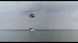 直升机上打爆了鲨鱼 图2