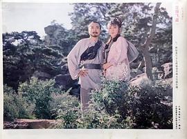 花翎飛盜 圖6