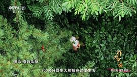 輝煌中國 圖3