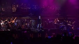 群星追憶張國(guó)榮2012演唱會(huì) 圖3