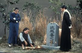 啼笑因缘 电视剧 1987 图7