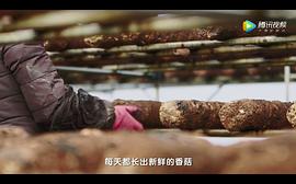 國寶檔案 圖3
