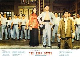 小拳王 圖6