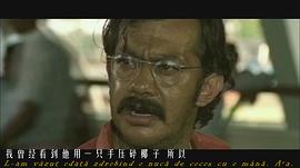 老虎戲弄地頭蟲 圖2