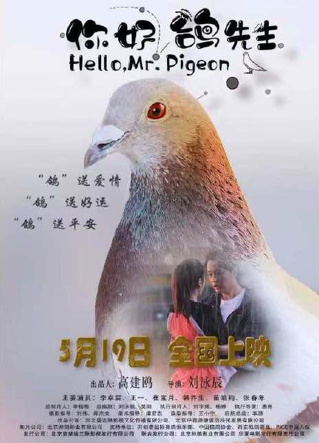 你好，鴿先生