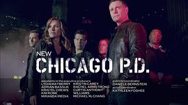 芝加哥警署 第一季 图1