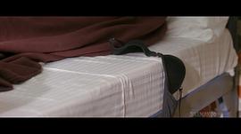 女王旅途 圖1