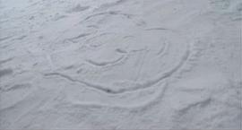 林海雪原1957年版免费观看 图7