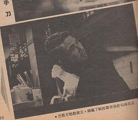 手刀 圖3
