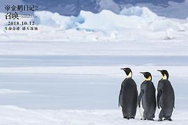 企鹅日记电影 图9