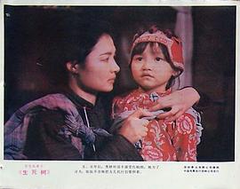 生死樹 圖4